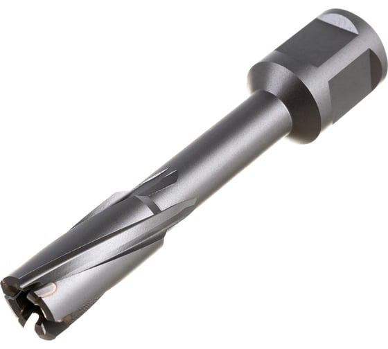 Изображение товара Фреза кольцевая TCT (14x55 мм; Weldon 19) ROTORICA RT.4225014