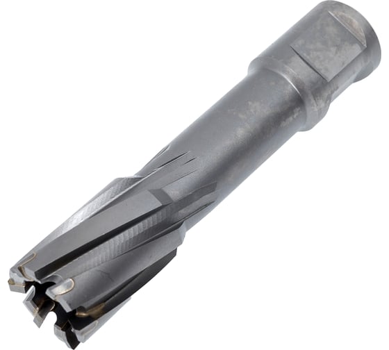 Изображение товара Фреза кольцевая TCT (20x55 мм; Weldon 19) ROTORICA RT.4225020