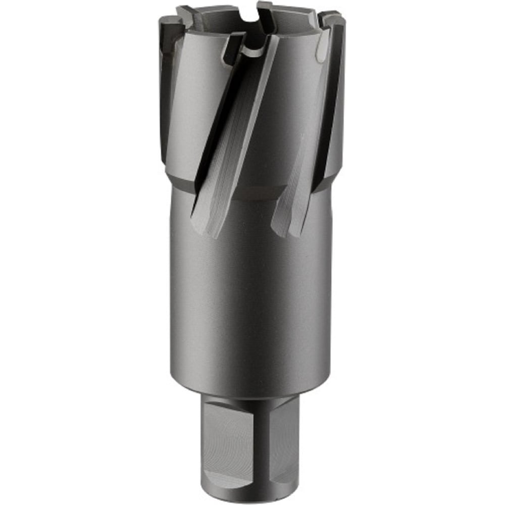 Изображение товара Фреза кольцевая TCT ROTORICA RT.4225063 для сверления