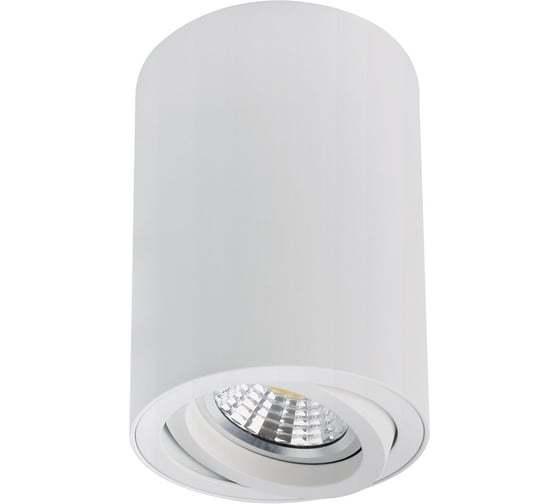 Изображение товара Точечный накладной светильник ARTE LAMP SENTRY A1566PL-1WH