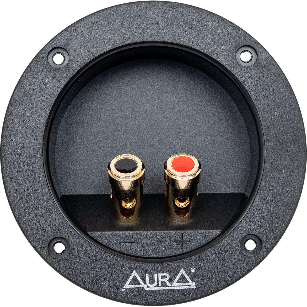 Изображение товара Терминал AURA WTB-761P для подключения акустики