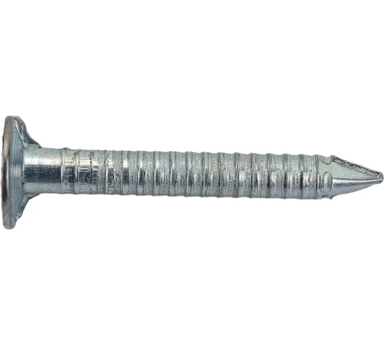 Изображение товара Ведерко ершенных гвоздей Технониколь 1 кг TN475131