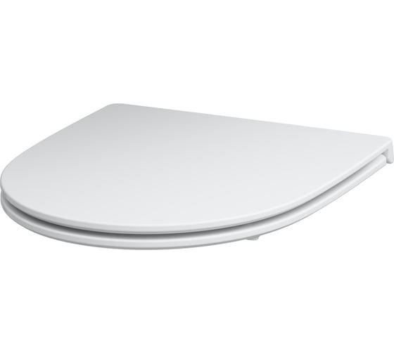 Изображение товара Сиденье для унитаза AM.PM Awe Plus микролифт C117853BWH