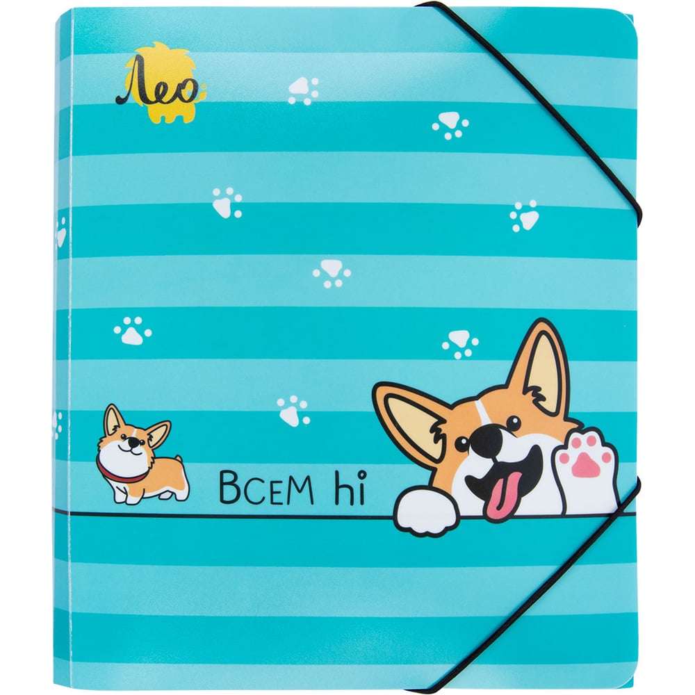 Изображение товара Папка на резинке Лео A4, LRF-06, 5 шт, песок, голубая