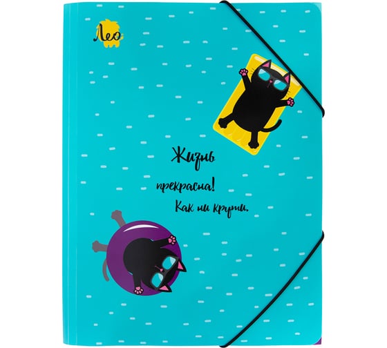 Изображение товара Папка Лео 6 шт., на резинке, A5, LRF-07, 450 мкм, 25 мм, песок, Учись 02-Коты 679186