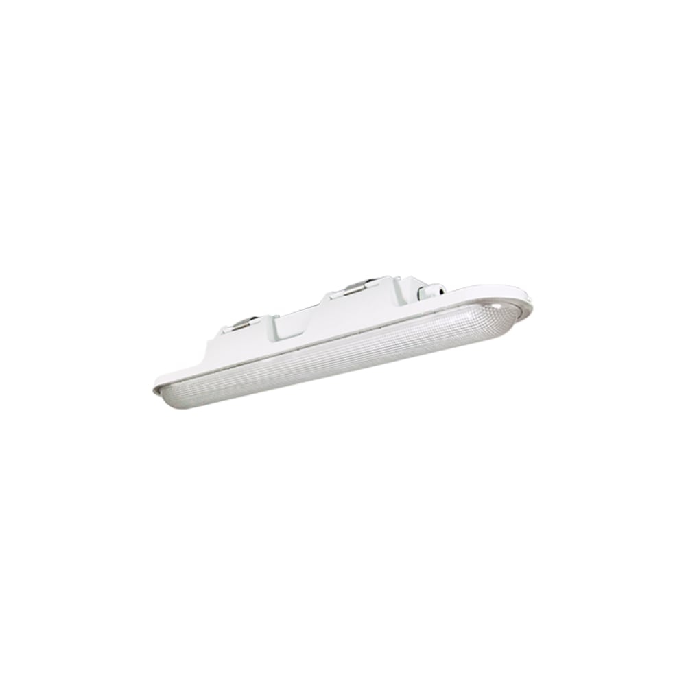 Изображение товара Аварийный светильник Leader ДСП51-40-042 с встроенными светодиодами IP65