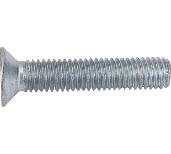 Изображение товара Винт с потайной головкой ВИРТУОЗ DIN965 8 х 40, 2 шт 21915