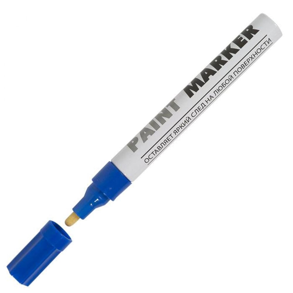 Маркер-краска INFORMAT маркер краска лаковый 2 0 munhwa slim size фиолетовая нитро основа