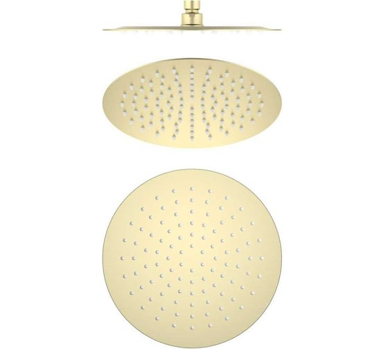 Изображение товара Круглый верхний душ AQUATEK AQ2073BG 250*2 мм, шлиф. золото 00000139832