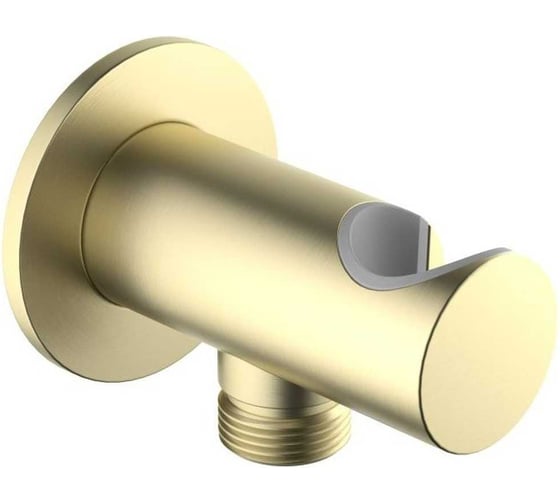 Изображение товара Шланговое подсоединение с держателем AQUATEK AQ2464BG, шлиф. золото 00000139842