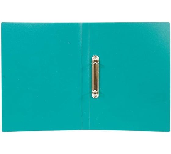 Изображение товара Папка LITE с кольцами А4 2 кольца 500 мкм 21 мм зеленый пластик NP55-21G