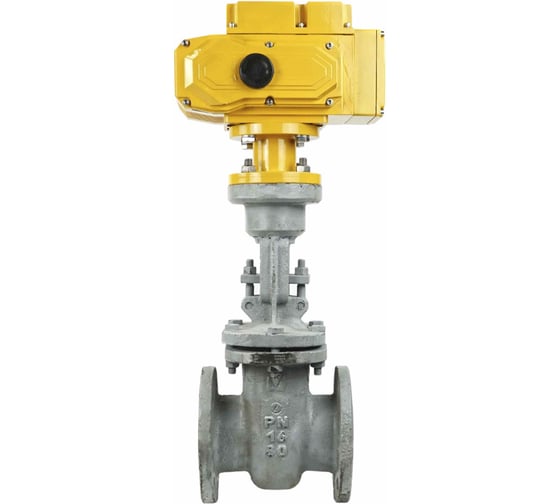 Изображение товара Задвижка клиновая 30с941нж 25Л-25Л-M-2W-F-ОСТ Ду80 DN.ru Ру16 GAIR, привод 380В MT D040-08834