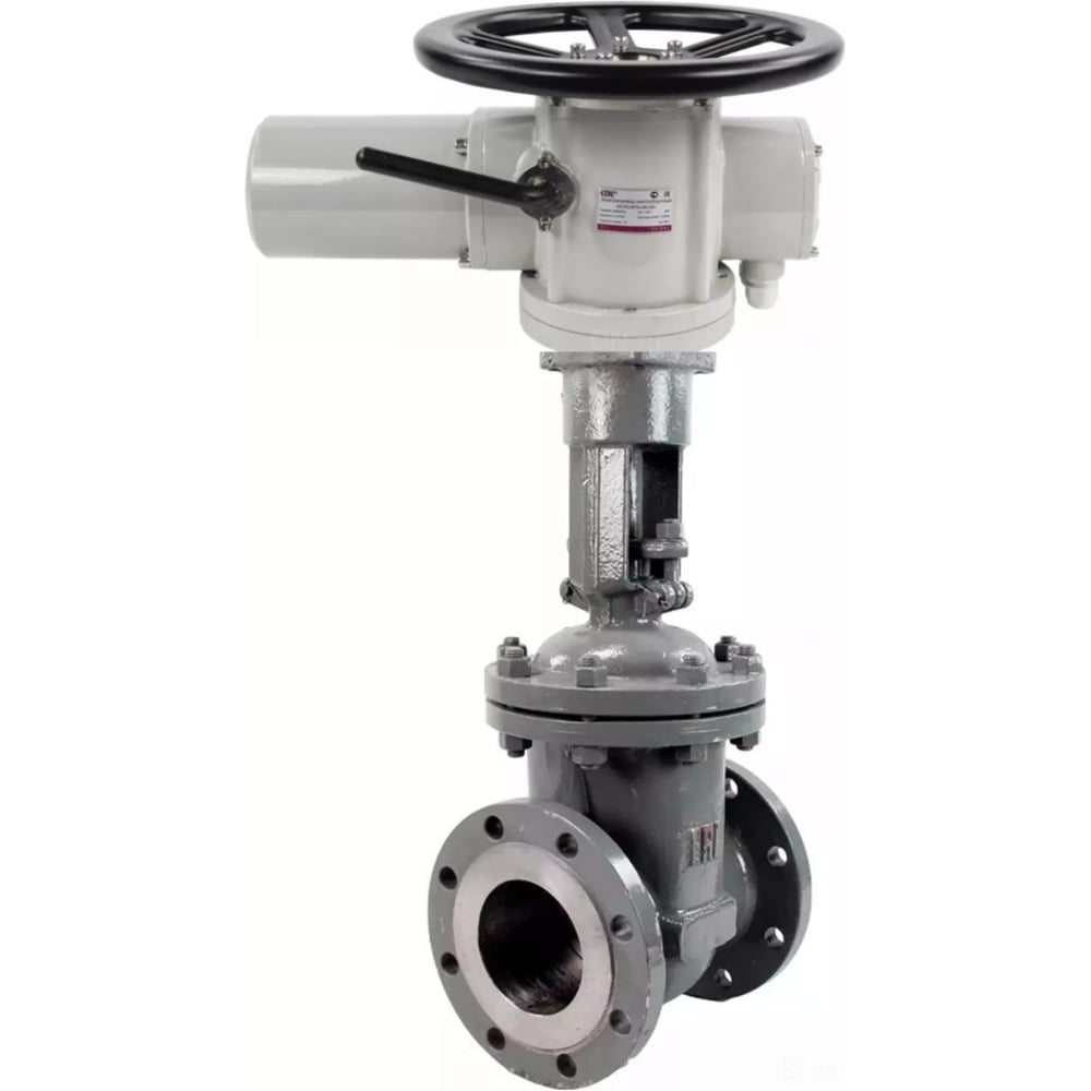 Изображение товара Задвижка клиновая DN.ru 30с964нж WCB-WCB-M-2W-F-ОСТ Ду300 Ру25 GAIR, привод 380В MTG D040-08837