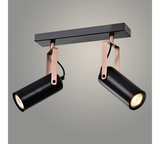 Изображение товара Спот РОСТОК 19741/2 BK+COPPER черный/медь 2x50W GU10 d300 h200, WAN22 988012556