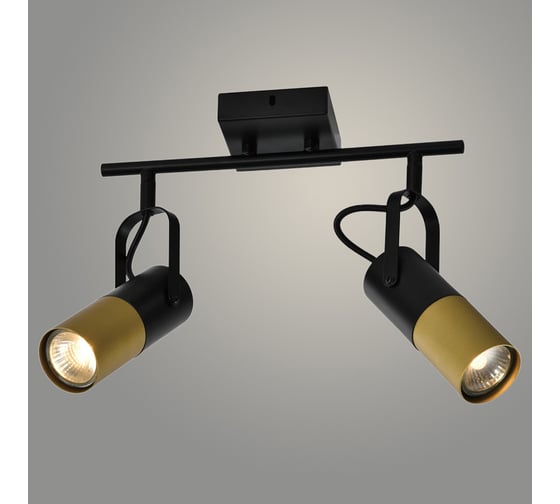 Изображение товара Спот РОСТОК 22470/2B BK+GD черный/золото 2x25W GU10 h130, WAN23 988367603