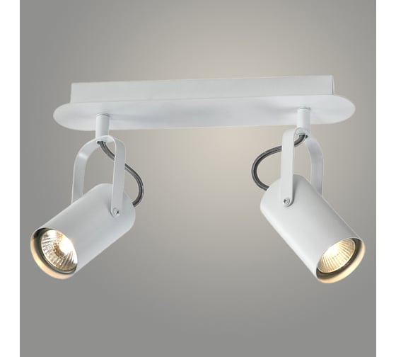 Изображение товара Спот РОСТОК 22530/2B WT белый 2x25W GU10 h135, WAN23 988367607