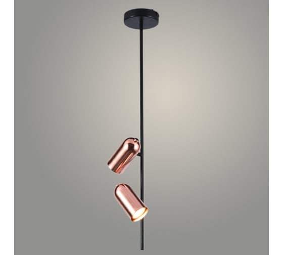 Изображение товара Люстра РОСТОК 639/2 COP+BK медь/черный 2x3W GU10 d120 h780, MOYA23 988369392