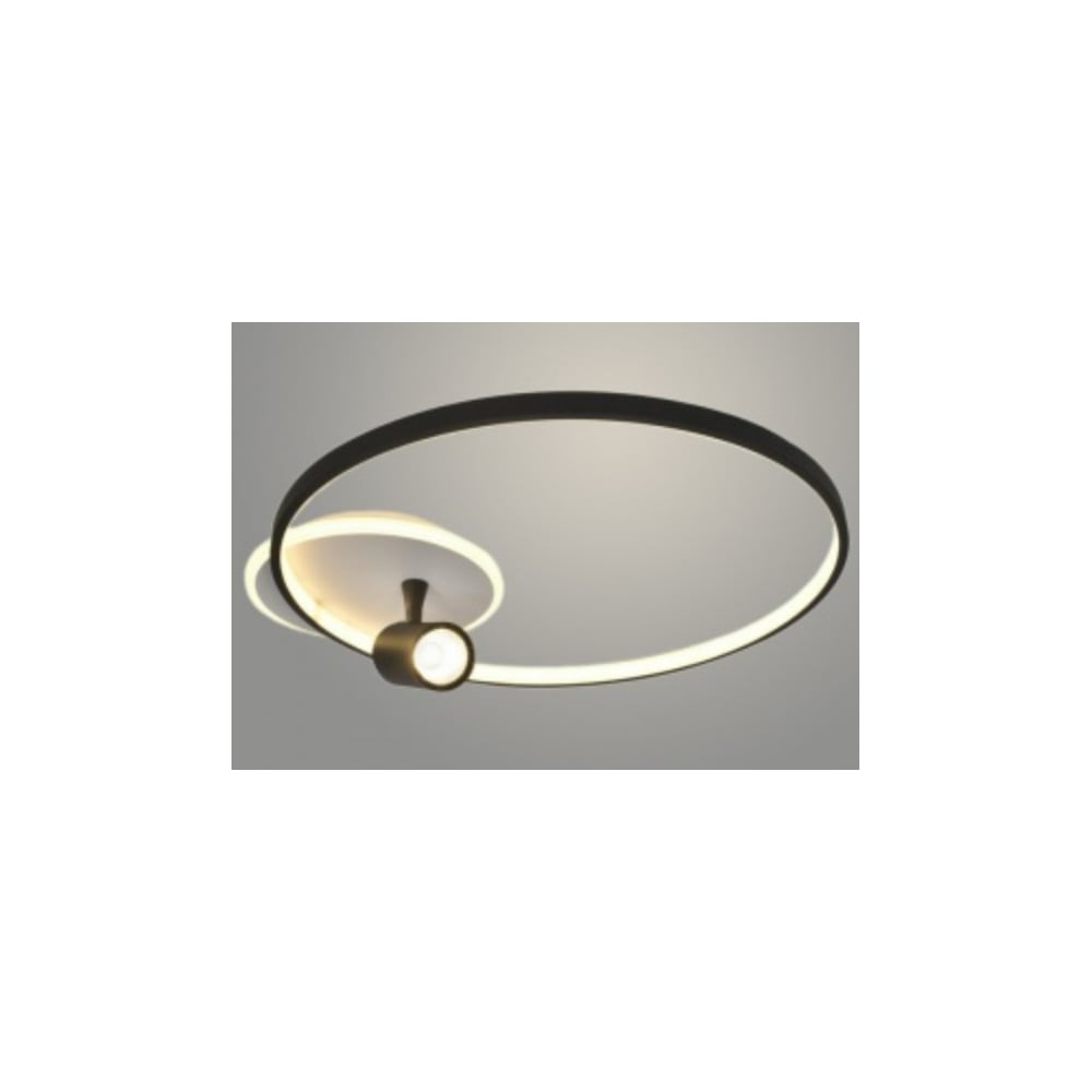 Изображение товара Люстра РОСТОК FX60081/1+1 BK+WT черный/белый 55W+5W LED 3000-6000K d550 ПДУ диммер, MGF23 988366652