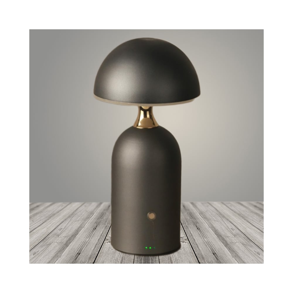 Изображение товара Настольная лампа РОСТОК 930158 серый LED с сенсорным управлением