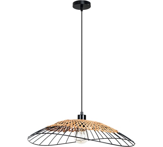 Изображение товара Подвесной светильник ARTE LAMP WOODSTOCK A7061SP-1BK