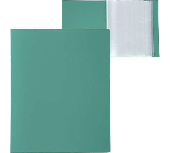 Изображение товара Папка Calligrata 80 прозрачных вкладышей А4 700 мкм зелёная песок 3258520