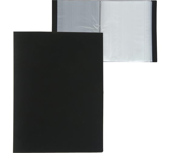 Изображение товара Папка Calligrata 100 прозрачных вкладышей А4 700 мкм черная песок 3258523