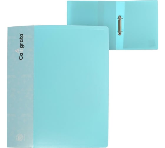 Изображение товара Пластиковая папка на 2 кольцах Calligrata А4, 40 мм, 700 мкм, карман на торце, голубой зефир 6578279