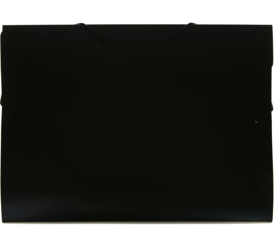 Изображение товара Архивная папка-короб на резинке Calligrata корешок 40 мм, пластик 0.7 мм, чёрная 6926784