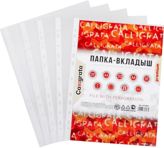 Изображение товара Файл-вкладыш Calligrata А4, 60 мкм, глянцевый, матовый, плотный, 100 шт 6534846