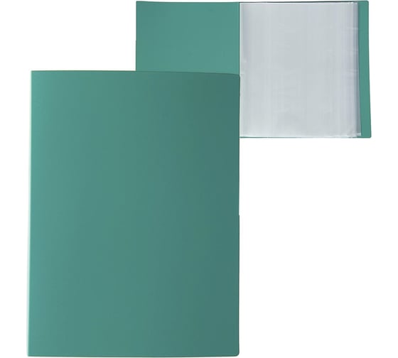 Изображение товара Папка Calligrata 100 прозрачных вкладышей А4 700 мкм зелёная песок 3258525