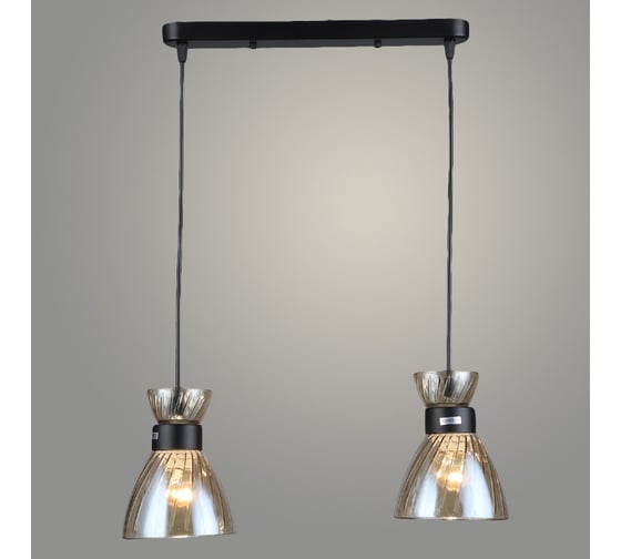 Изображение товара Подвес РОСТОК N5639/2HT BK черный, 2x40W, Е27, d455 h800, QH23 988032315