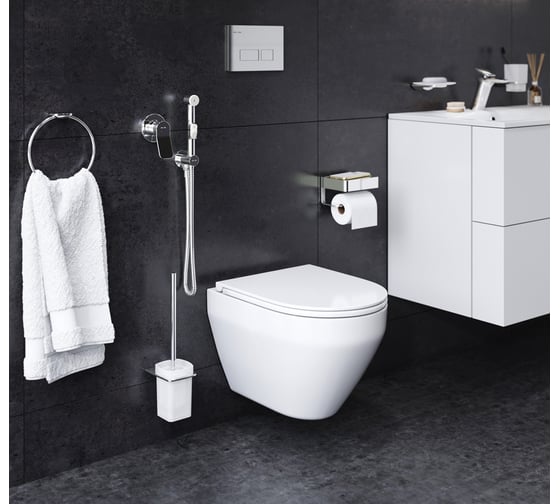 Изображение товара Подвесной комплект AM.PM Spirit зона туалета CK70HA