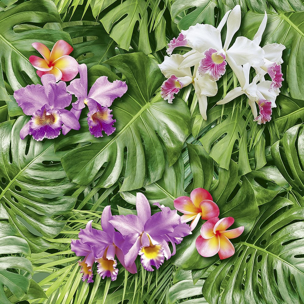 Изображение товара Бумажные обои FOX Экзотика моющиеся 12477