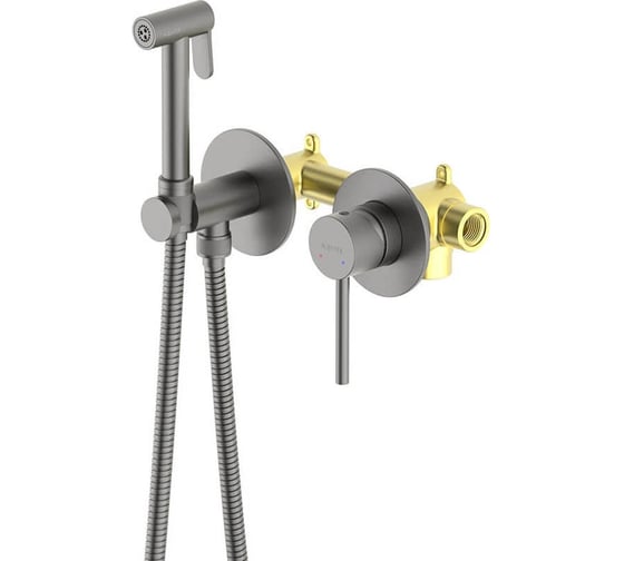 Изображение товара Комплект для гигиенического душа встроенный AQUATEK AQ1319BGM ЕВРОПА 2 отверстия, смеситель + гигиеническая лейка + шланг, шлиф. черный хром 00000139720