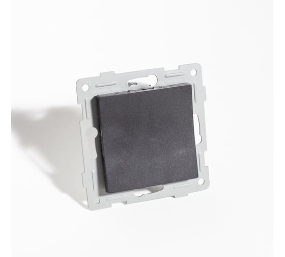 Изображение товара Заглушка SPL (антрацит) серия BW 12 шт. 201325