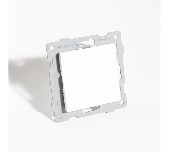 Изображение товара Заглушка SPL (белый) серия BW 12 шт. 201305