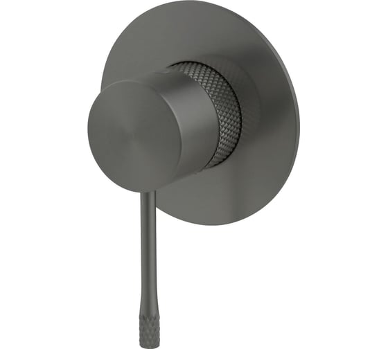 Изображение товара Смеситель встроенный для душа ALLEN BRAU 5.31C12-MG PRIORITY 4.0x1 1 выход, Kerox, EASY BOX, графит браш 331003 00331003