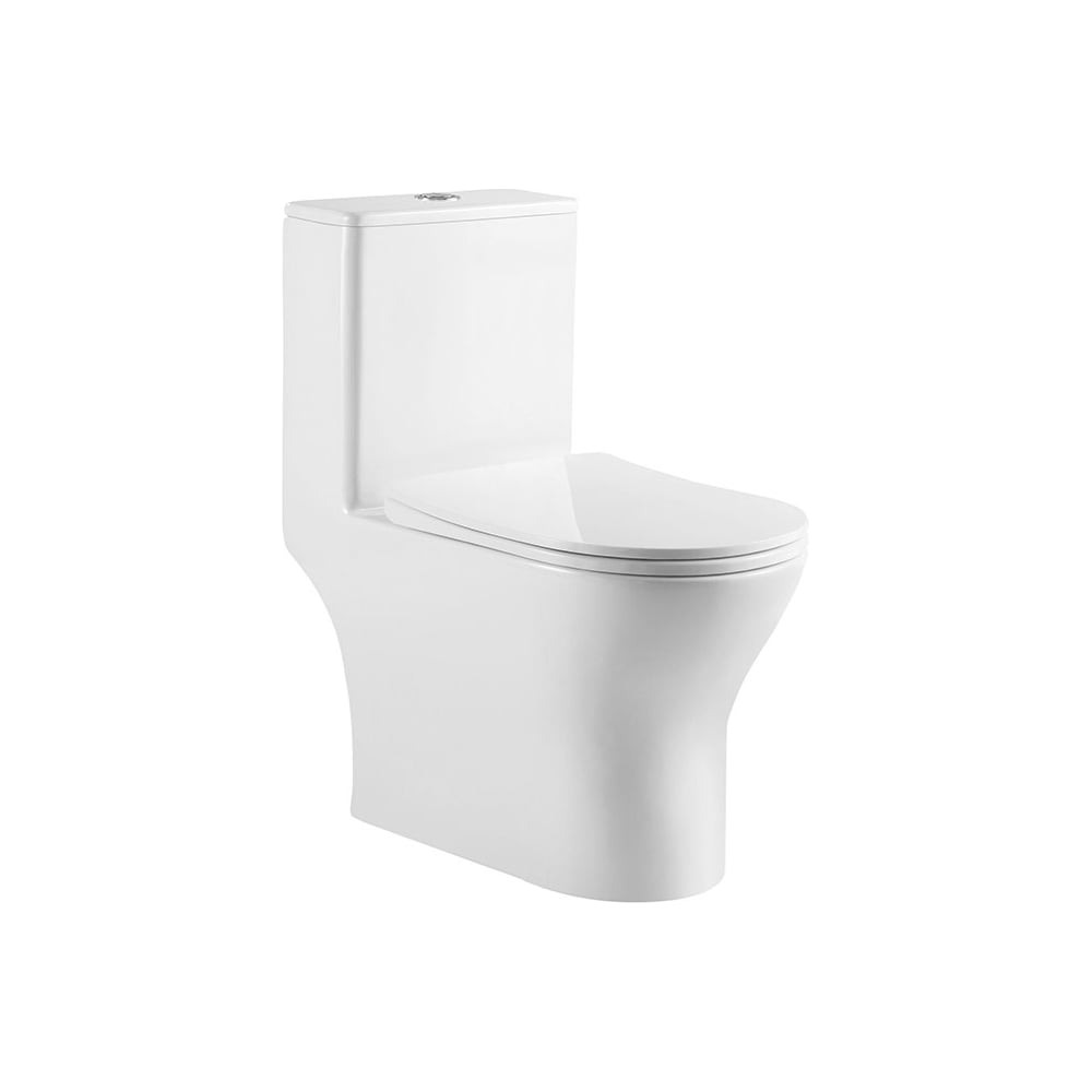 Унитаз-моноблок BelBagno LOUNGE с сиденьем дюропласт soft close, P-trap BB8618CPR-MN/SC