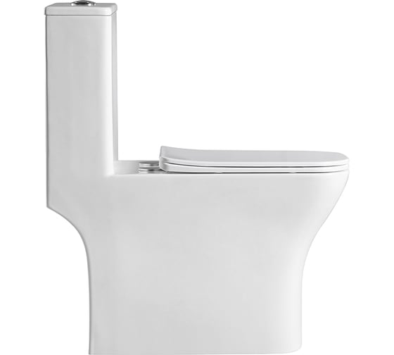 Изображение товара Унитаз-моноблок BelBagno NEON с сиденьем дюропласт soft close, P-trap BB8617CPR-MN/SC