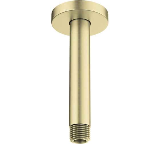 Изображение товара Держатель верхнего душа потолочный Aquatek AQ2171BG 150 мм, шлиф. золото 00000139829