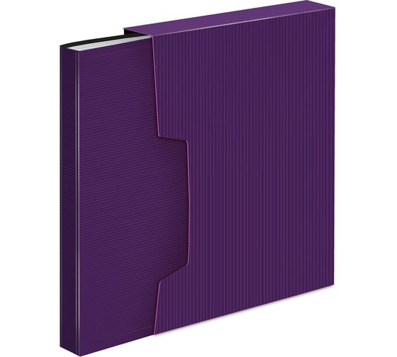 Изображение товара Папка с 80 прозрачными вкладышами Бюрократ DeLuxe DLVBOX80BBERRY A4, пластик, 0.7 мм, черничный, в коробе 1139849