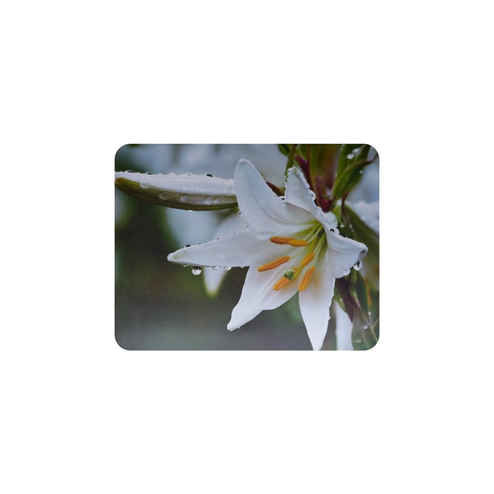 Изображение товара Коврик для мыши BURO BU-M20041 мини с рисунком лилия 230x180 мм