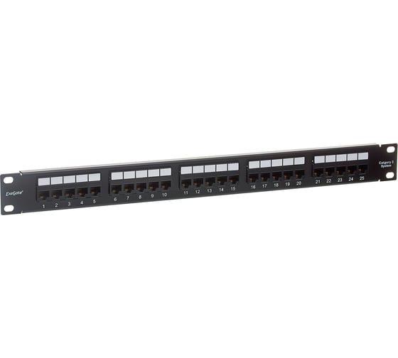 Изображение товара Патч-панель ExeGate EPP-19-25-6P4C-C2, телефонная, 19, 1U, 25 port, RJ-12 6P4C, RoHS, Black 281084