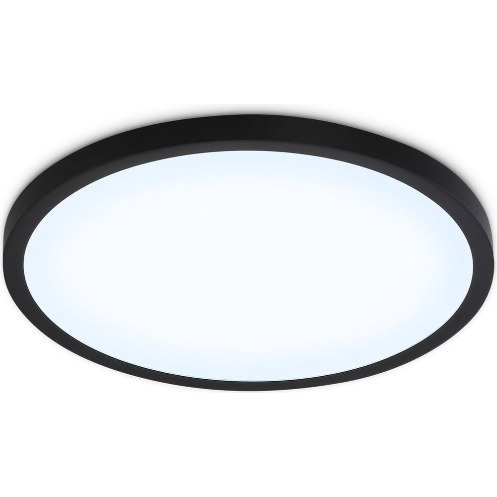 Изображение товара Светильник светодиодный ультратонкий Ambrella light BK черный IP54 20W 5000K D270*15 (Без ПДУ) FZ1953