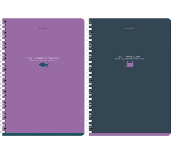 Изображение товара Бизнес-тетрадь BRAUBERG А4, 96 л., комплект 2 шт., гребень, клетка, SoftTouch, MONOCOLOR, 404647