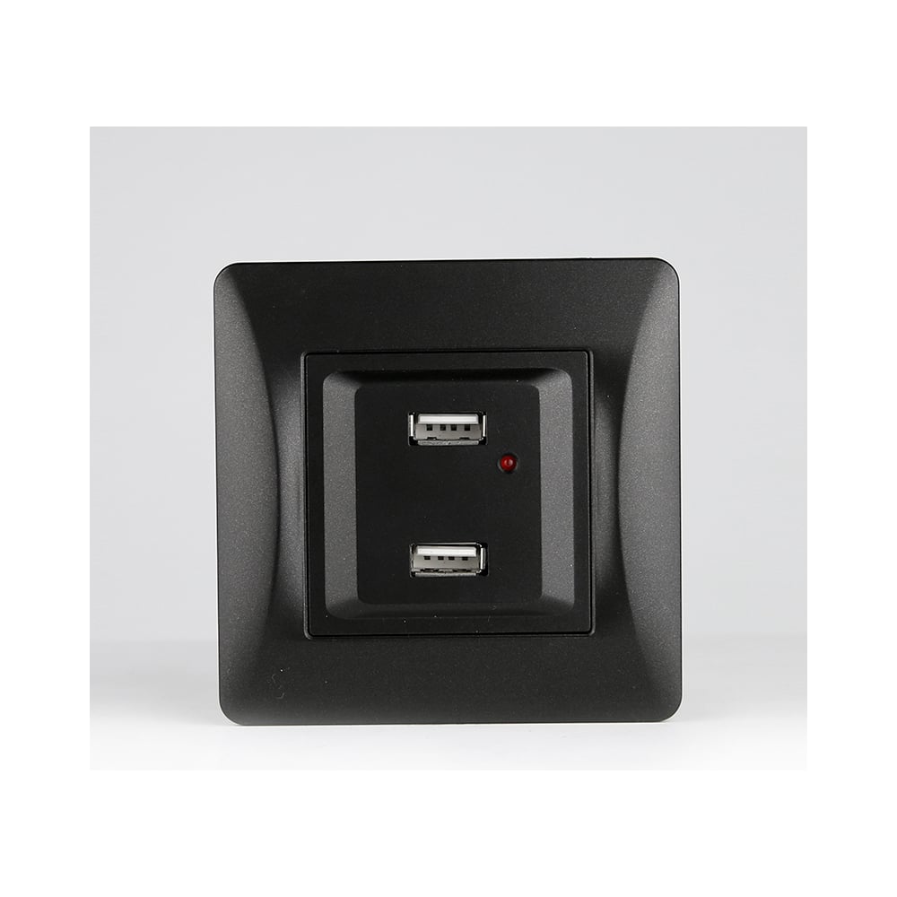 Изображение товара Розетка USB 2xUSB A SPL 125-250V антрацит встроенная