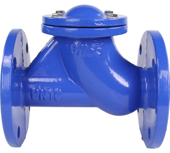 Изображение товара Клапан обратный шаровой DN.ru GGG50-GGG50-БНК-сп Ду65 Ру16 со сливной пробкой, чугунный D100-01577