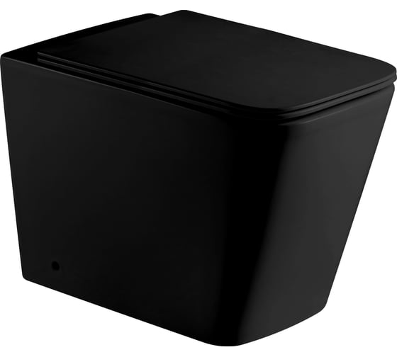 Изображение товара Напольный унитаз WeltWasser WW GELBACH матовый черный 002 MT-BL 10000003698