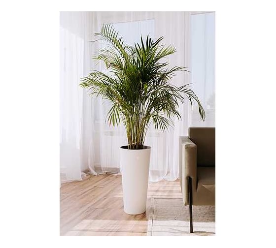 Изображение товара Кашпо для цветов BERG MOLD АТТИКА 28 л, с вкладышем белый, d30 см, h58 см 071485