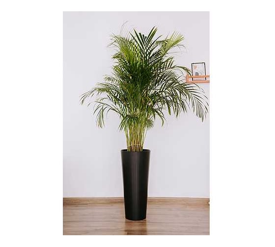 Изображение товара Кашпо для цветов BERG MOLD АТТИКА 28л, с вкладышем графит, d30см, h58см 071486